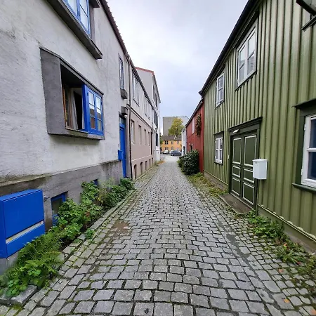 Mars Modern And Cozy Apartment In The Centre, Free Parking Trondheim Exterior photo